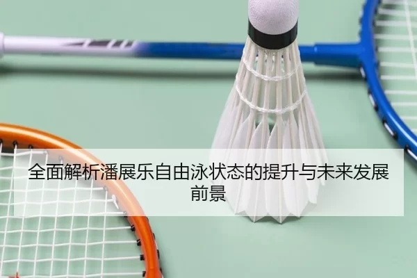 全面解析潘展乐自由泳状态的提升与未来发展前景