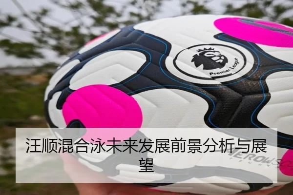 汪顺混合泳未来发展前景分析与展望